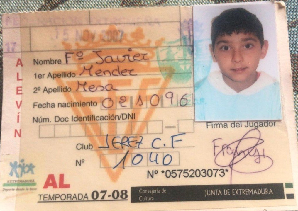 Ficha de franyi en alevines